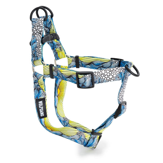 DawnPatrol Harness