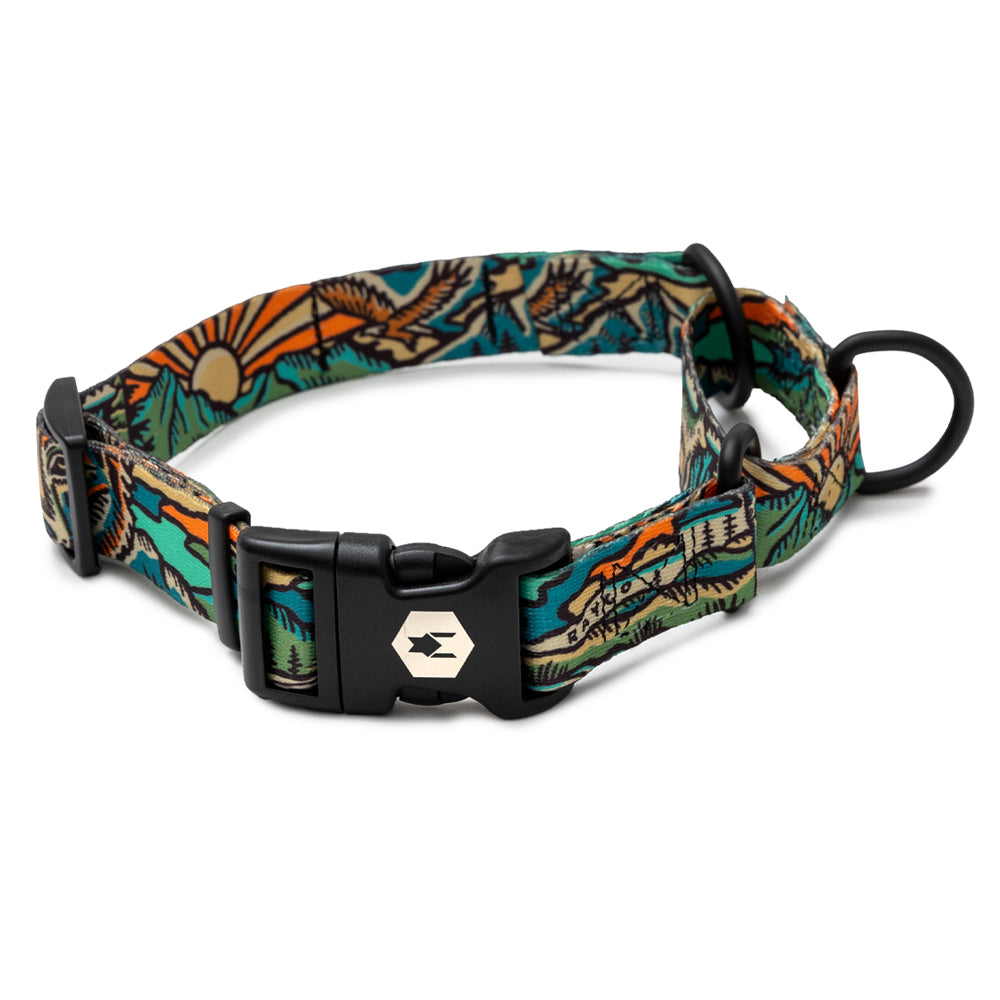 WildWolf Martingale Collar