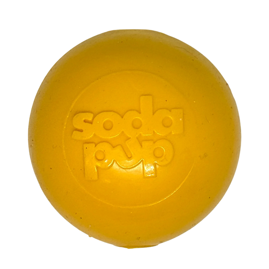 Squeak Ball Ultra Durable PUP-X Squeaking, Chewing, Floating & Retrieving Ball