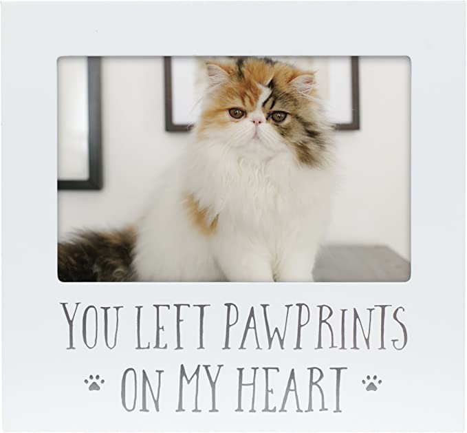 You Left Pawprints on my Heart Picture Frame