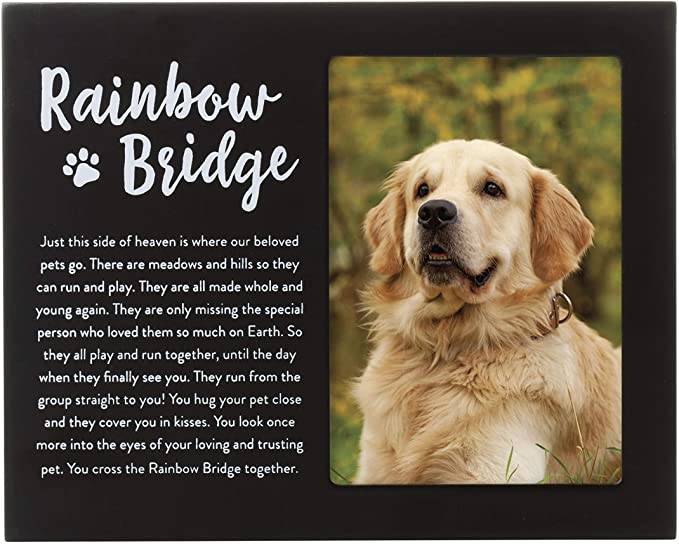 Rainbow Bridge Pet Memorial Picture Frame