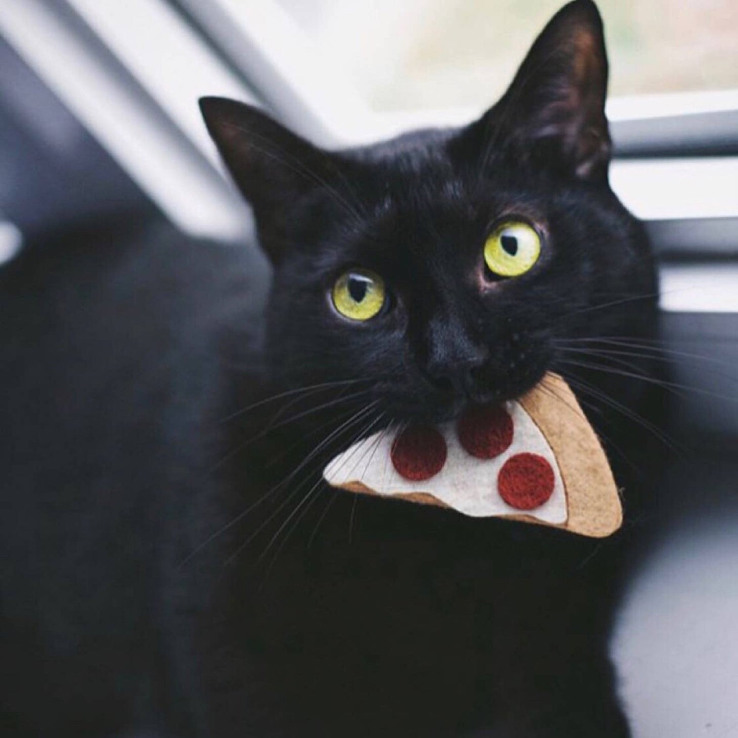 Pizza Catnip Toy
