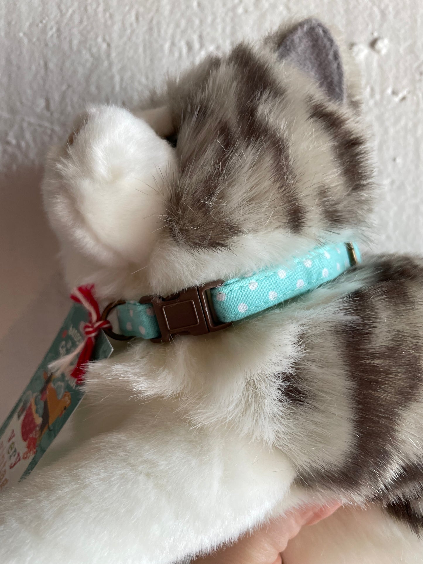 Cat Collar
