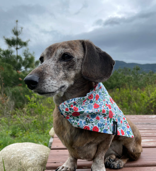 Red, White, & Blue Flowers Dog Bandana