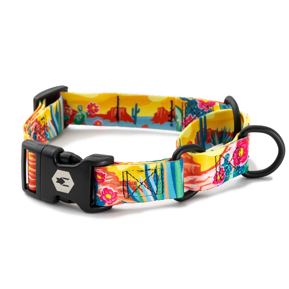 PackLeader Martingale Collar