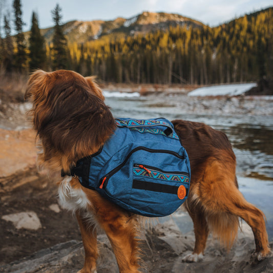 Wilderdog Dog Harness Backpack