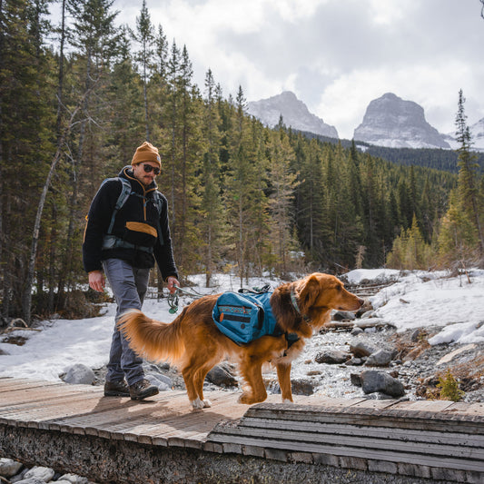 Wilderdog Dog Harness Backpack