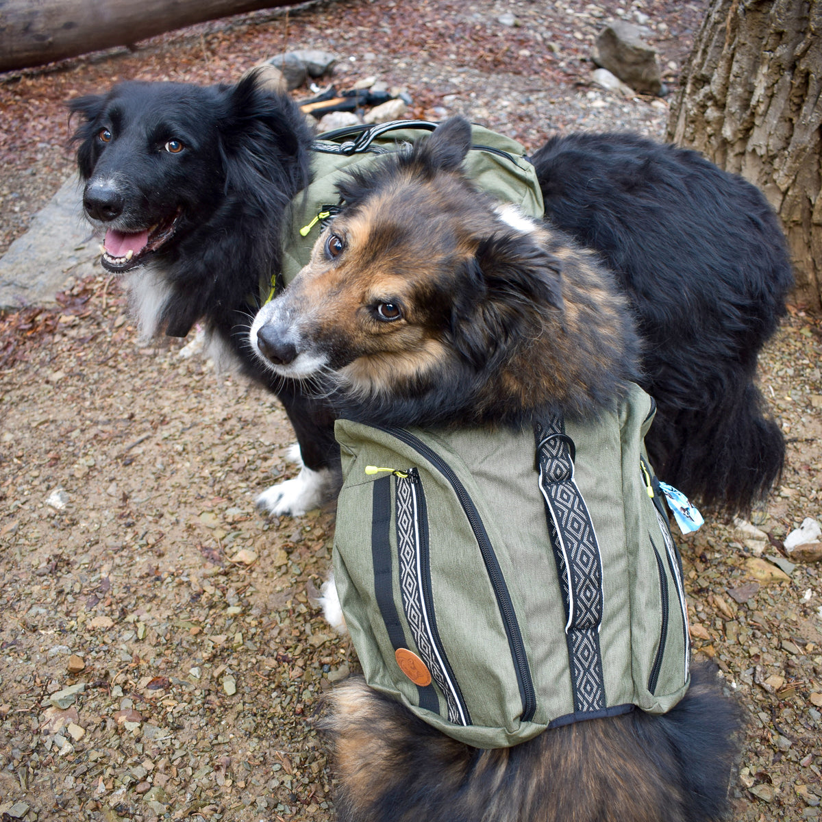 Wilderdog harness deals