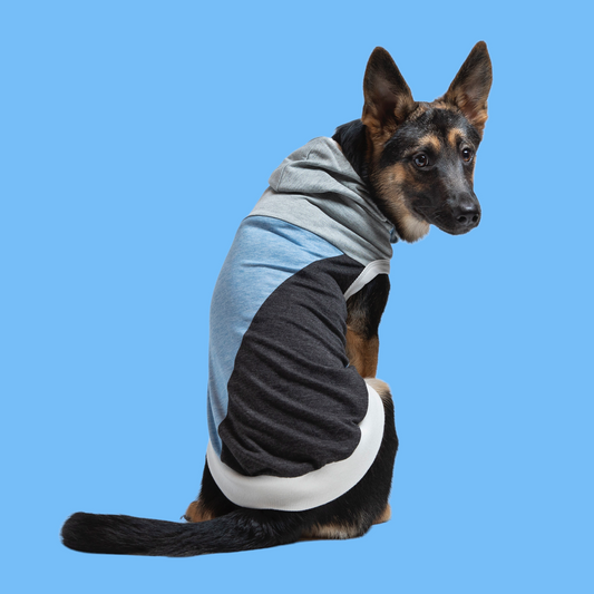 “The Skater II" Lightweight Sweatshirt Hoodie