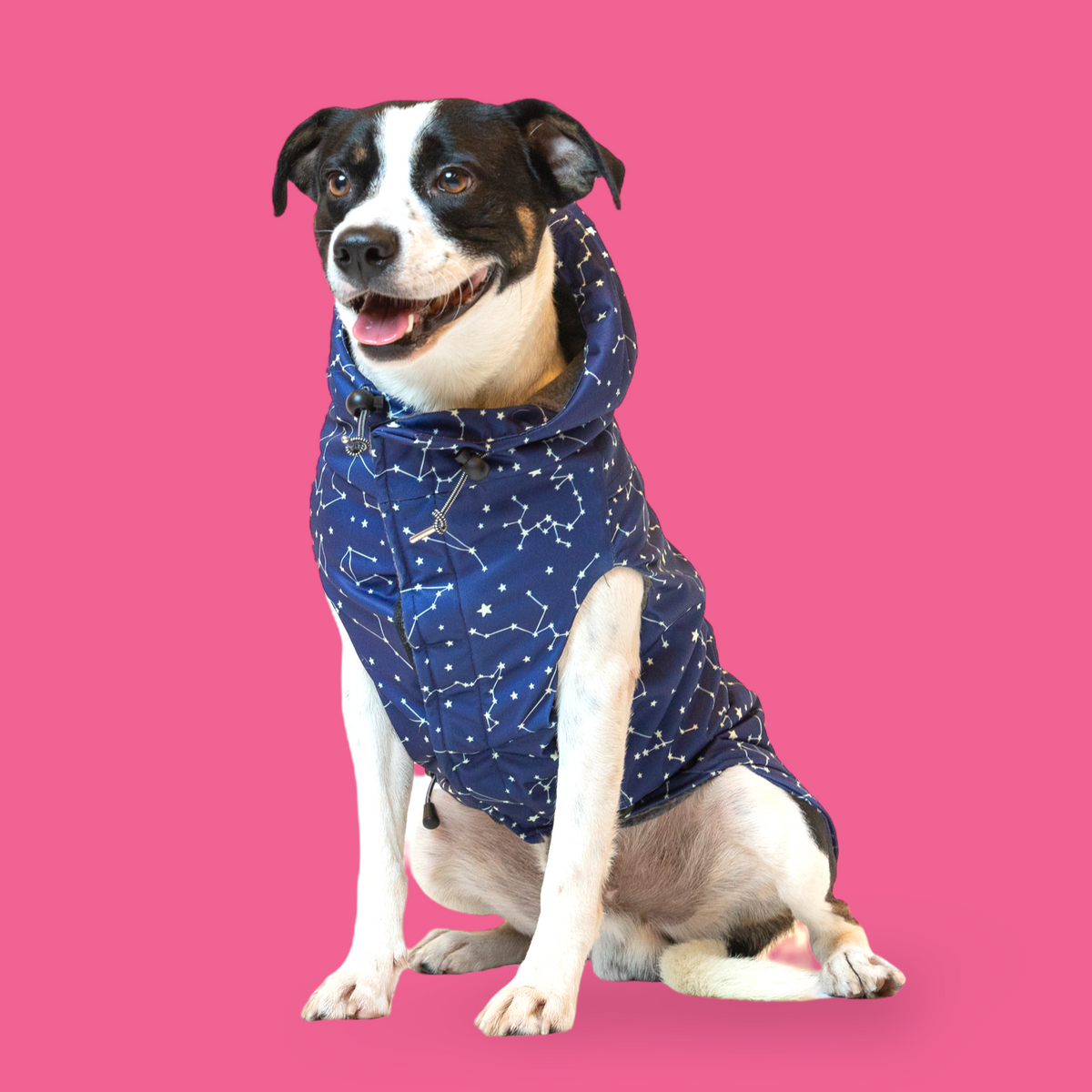 “The Zodiac" Insulated Raincoat