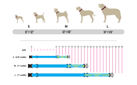 WolfMountain Martingale Collar