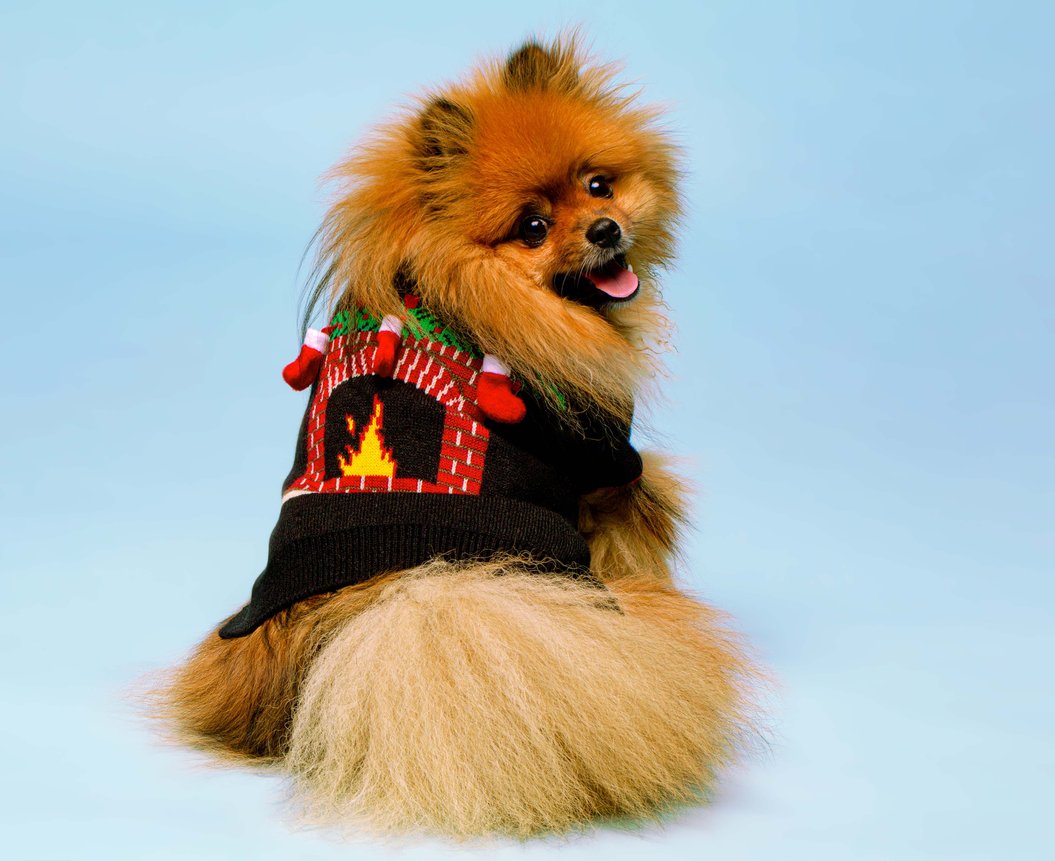 Ugly Christmas Dog Sweater