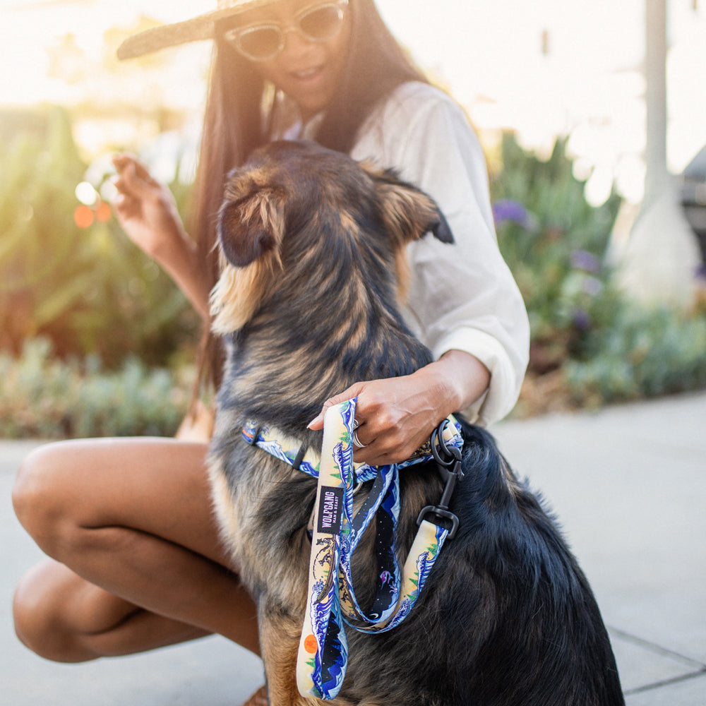 MountainWave Leash