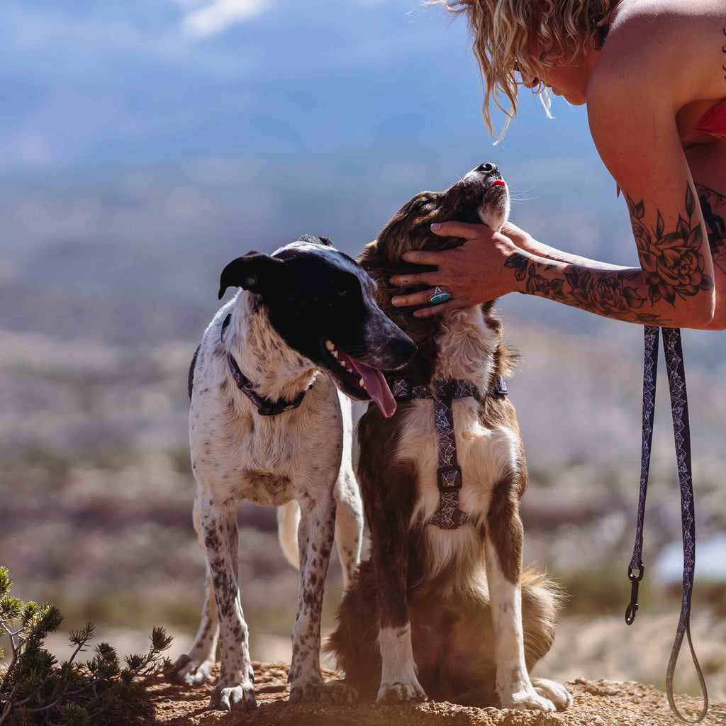 WolfMountain Harness