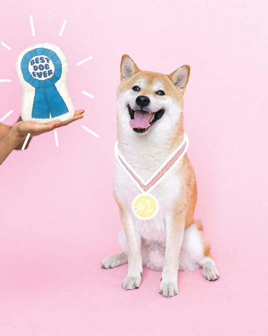We Are The Chompions - Eco-friendly Canvas Dog Toy