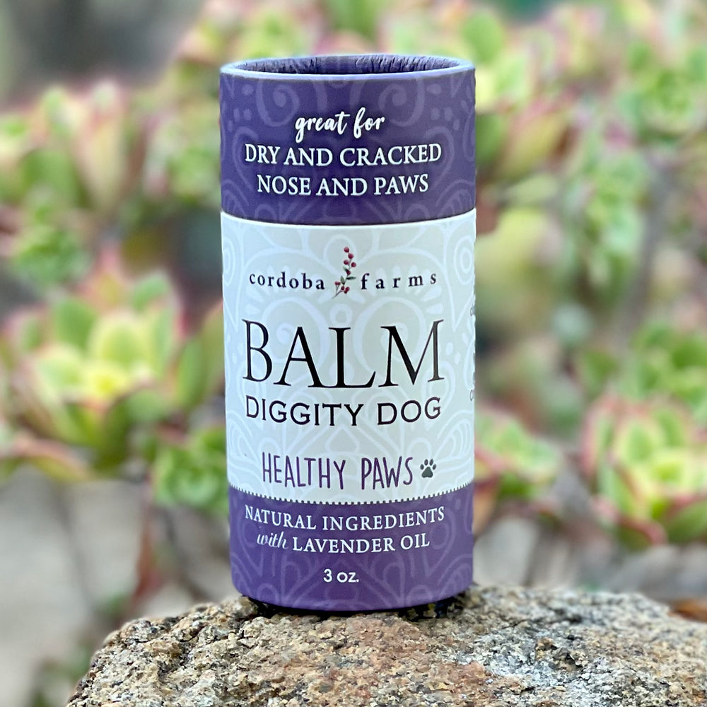 Balm Diggity Dog Healthy Paws Push-Up Stick