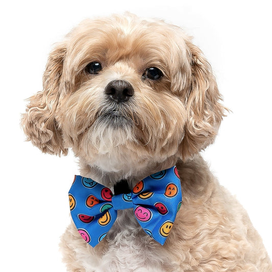 Royal Blue Smiles Bow Tie