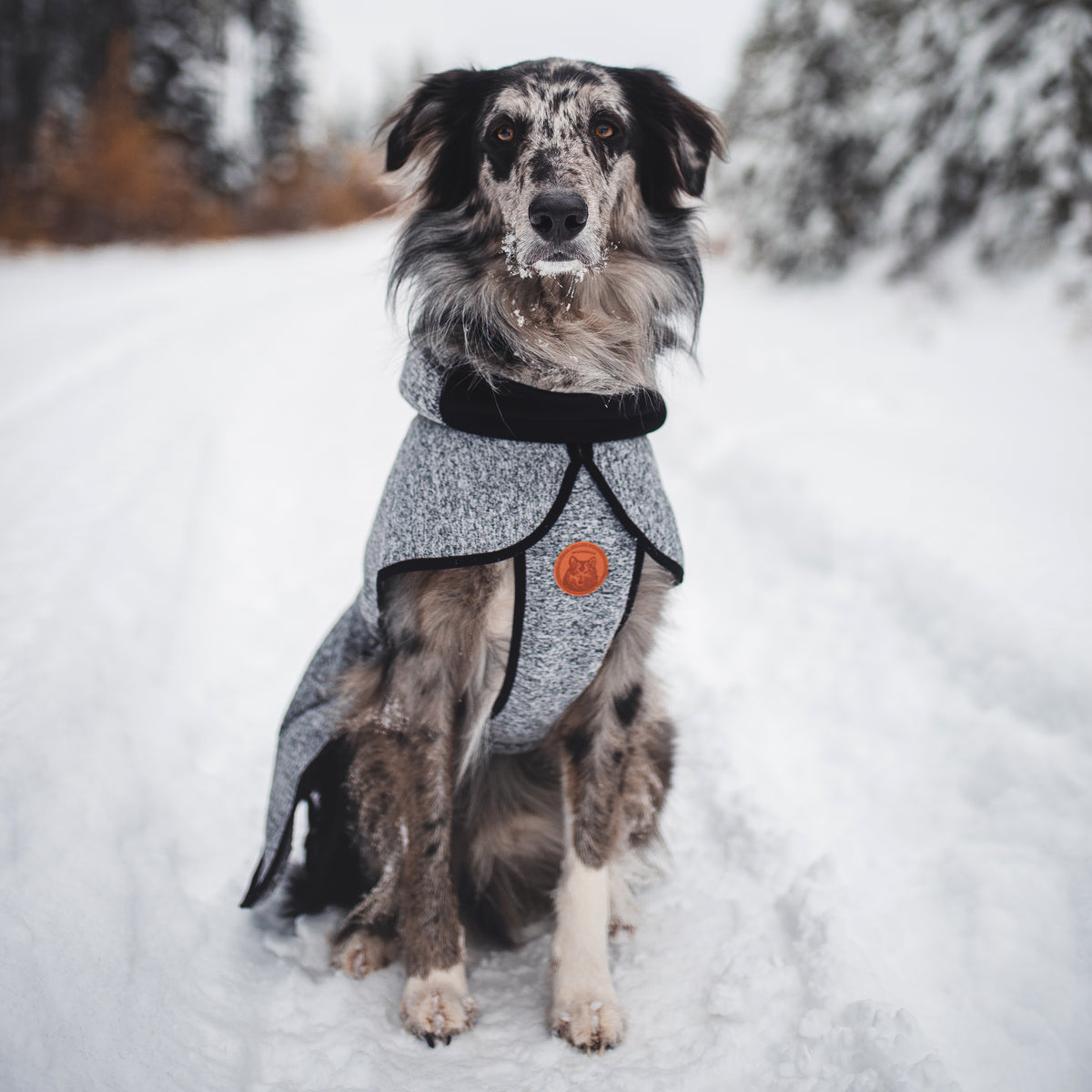 Wilderdog Grey Fleece Jacket