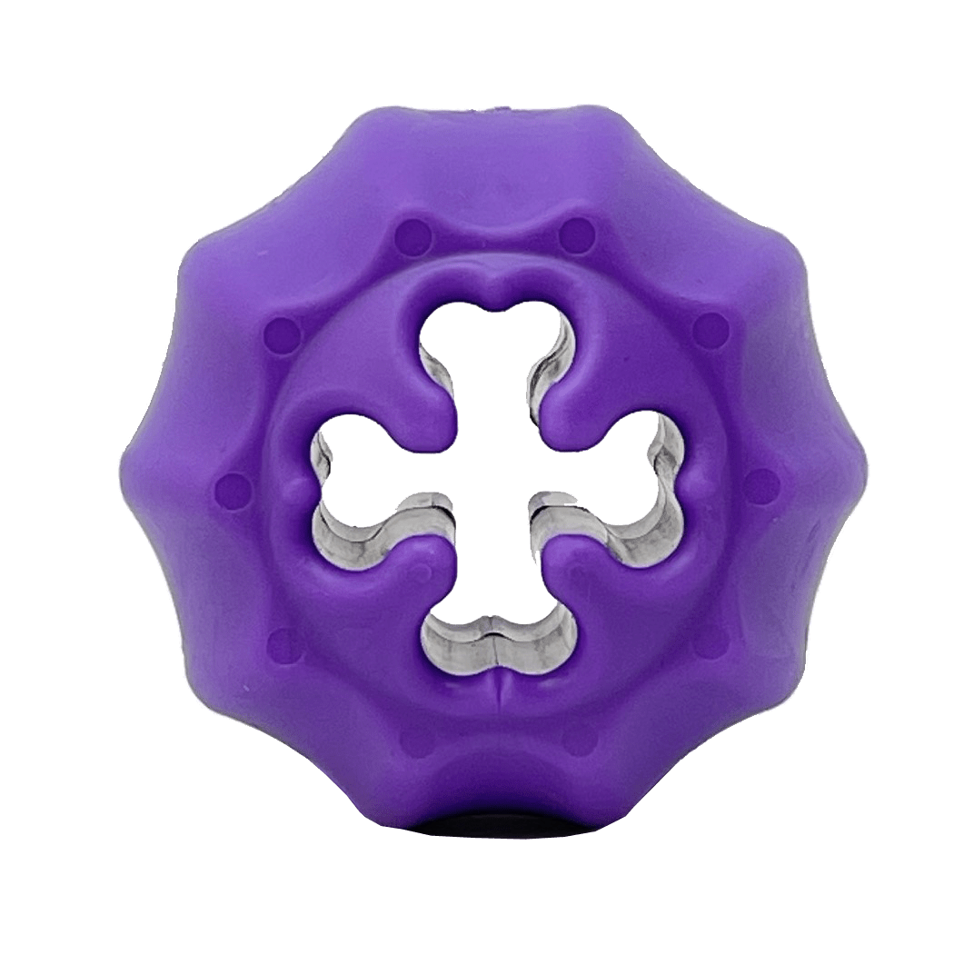Cross Bones Treat Pocket Dog Toy