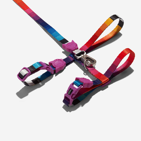 Prisma Cat Harness and Leash Set