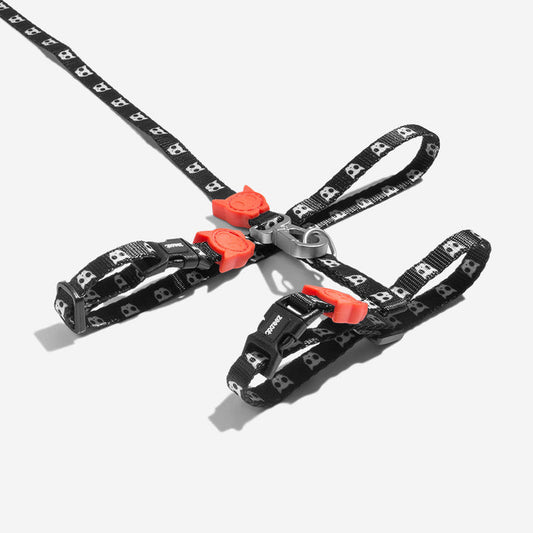 Skulls Cat Harness and Leash Set